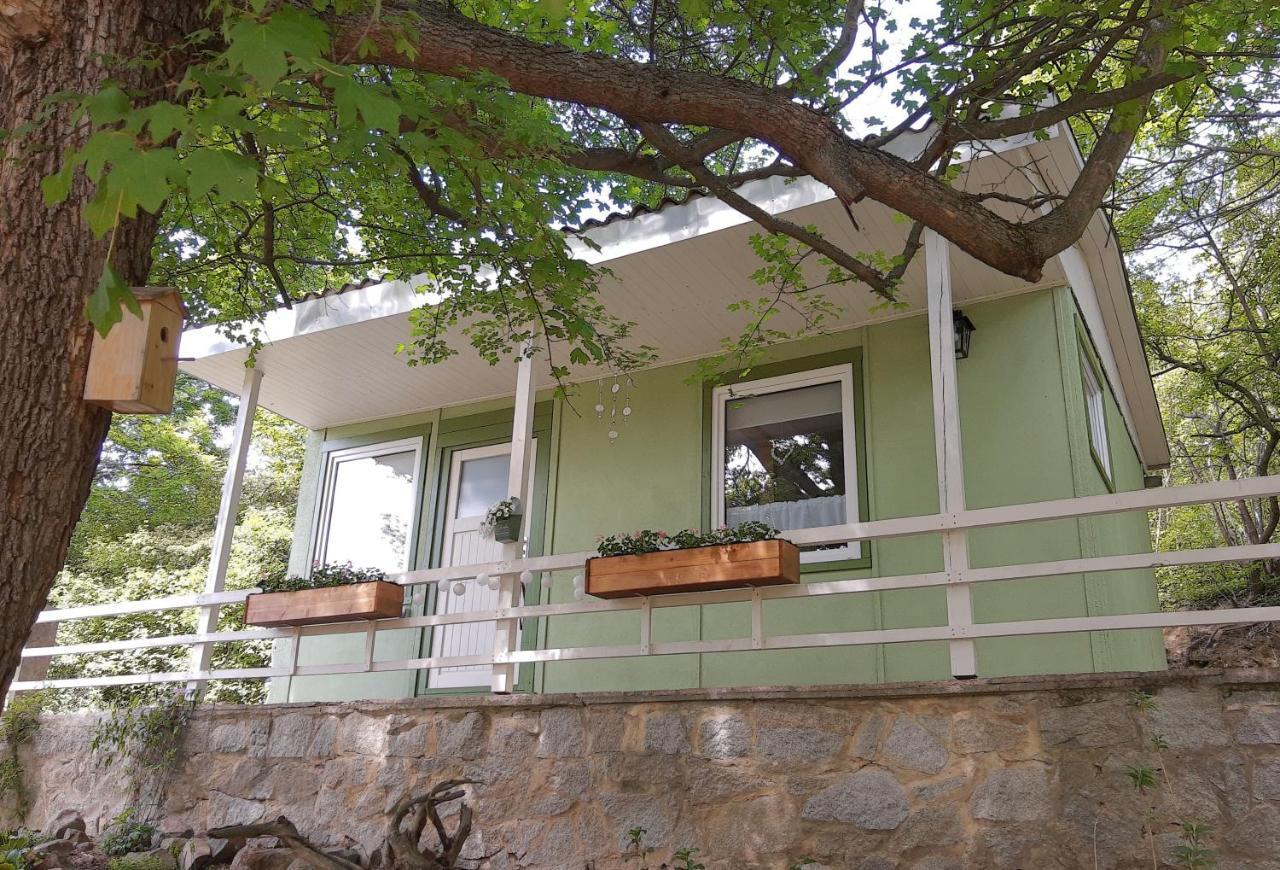 Ferienhaus Paulina Villa Wernigerode Ngoại thất bức ảnh